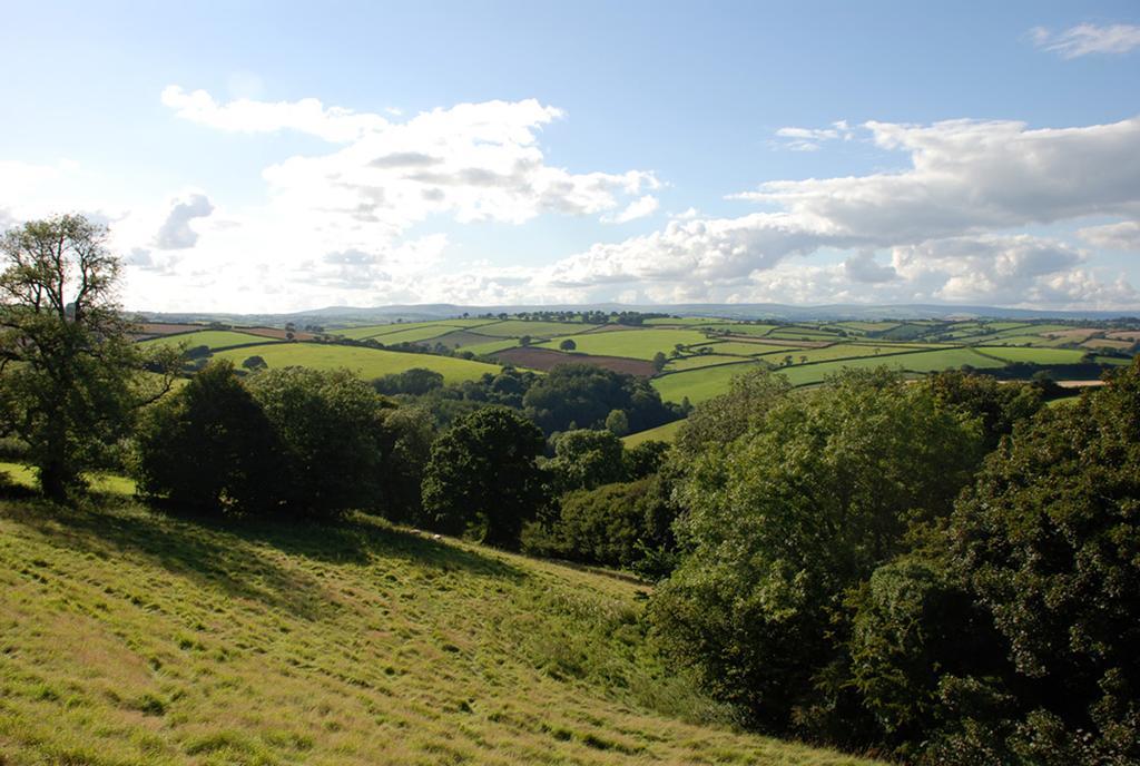 Kerswell Farmhouse Totnes Dış mekan fotoğraf